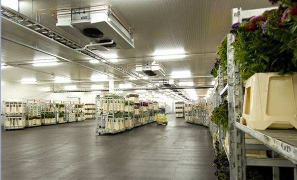 寧波建冷庫(kù)多少錢(qián)一立方？每立方能存多少貨物